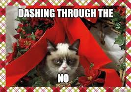 Grumpy Christmas cat2